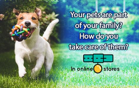 Our pets are very important to us. How can you best take care of them?
